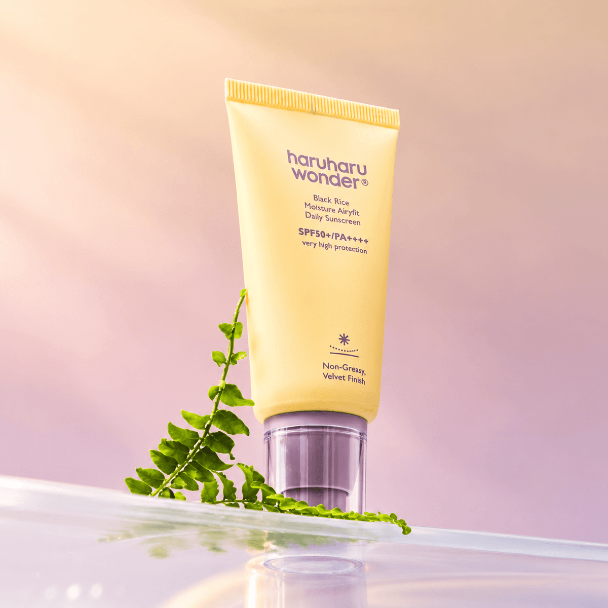 Haruharu Wonder Black Rice Moisture Airyfit Daily Sunscreen SPF50+ PA++++ 50 ML | Korean Lightweight Hydrating Face Sunscreen