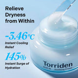 TORRIDEN DIVE-IN Low-Molecular Hyaluronic acid 100ML
