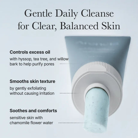 Arencia Hyssop Sebum Control Rice Cake Cleanser 150g