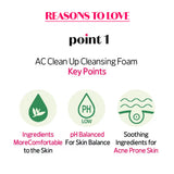 Etude AC Clean Up Cleansing Foam Tea Tree Madecassoside 150ML