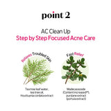 Etude AC Clean Up Cleansing Foam Tea Tree Madecassoside 150ML