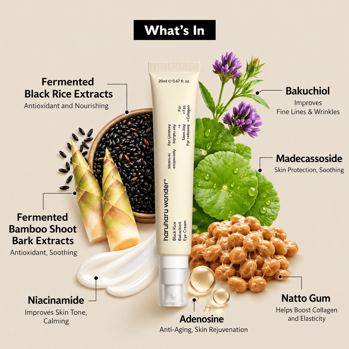 Haruharu Wonder Black Rice Bakuchiol Eye Cream 20 ML | Korean Anti-Aging Eye Cream for Fine Lines, Wrinkles & Dark Circles